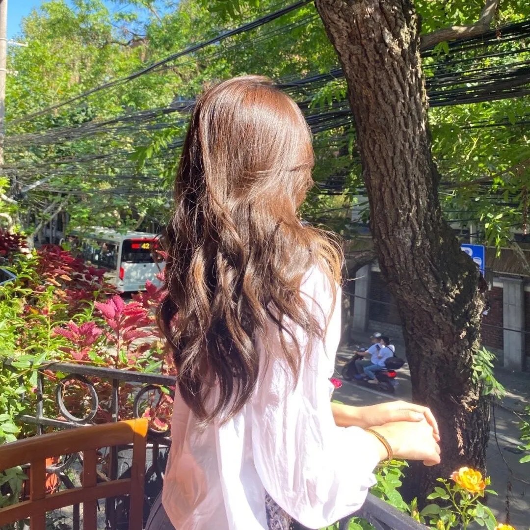 重生退婚妻第二季