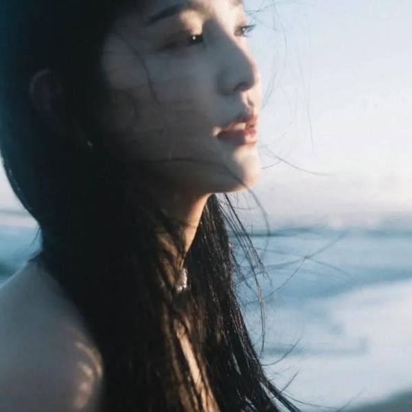 我私人的爱达荷